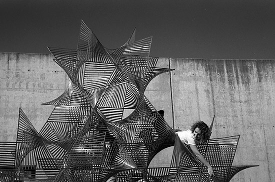 author : Manuel Luís Cochofel                    