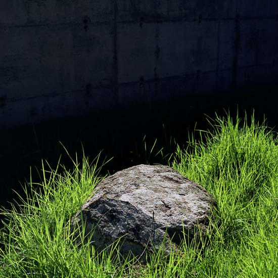 author : Rui Dias Monteiro                    