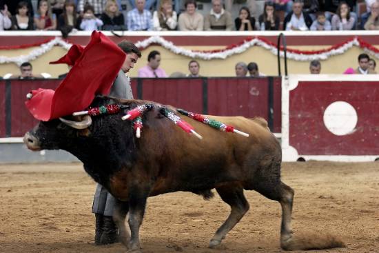 autor: Sofia Quintas