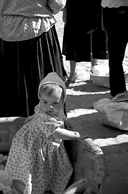 autor: Sofia Quintas