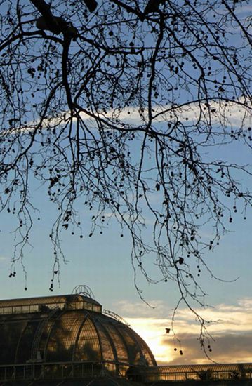 autor: paulo rodrigues
t&iacute;tulo: Sunset on the greenhouse