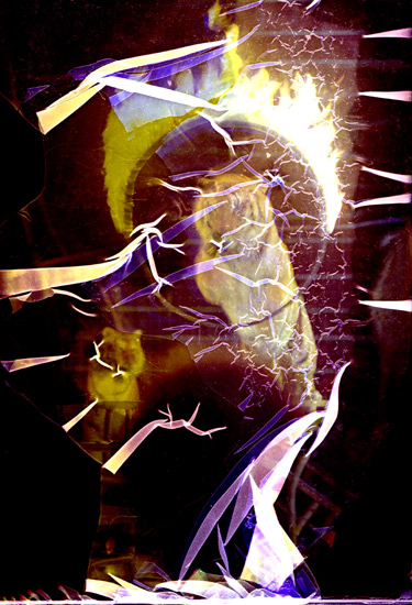 autor: paulo rodrigues
t&iacute;tulo: Tigres de cirque