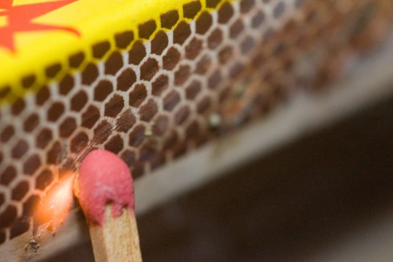 autor: paulo rodrigues
t&iacute;tulo: ...agora é só uma questão de tempo!