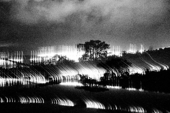 author: paulo rodrigues
title: O intento do vento