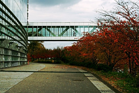 autor: paulo rodrigues
t&iacute;tulo: Passerelle