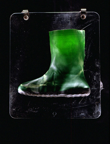autor: Jeremy Webb
título: green garden boot