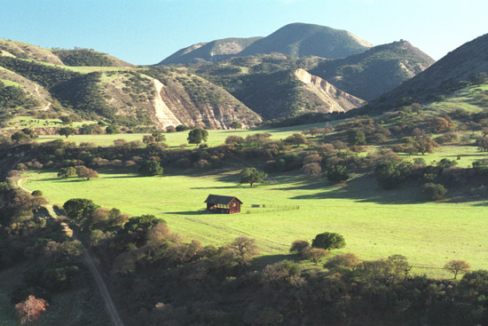 autor: paulo rodrigues
t&iacute;tulo: Cattle Shed