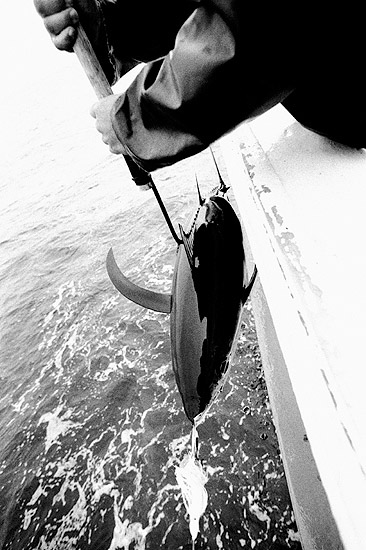 autor: Txomin  Txueka