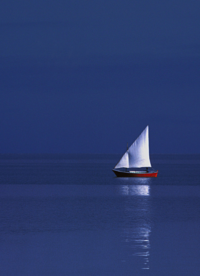 autor: paulo rodrigues
título: Navegando em azul