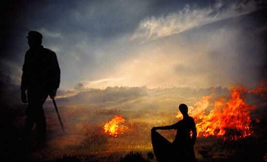 autor: paulo rodrigues
t&iacute;tulo: picture 56 a