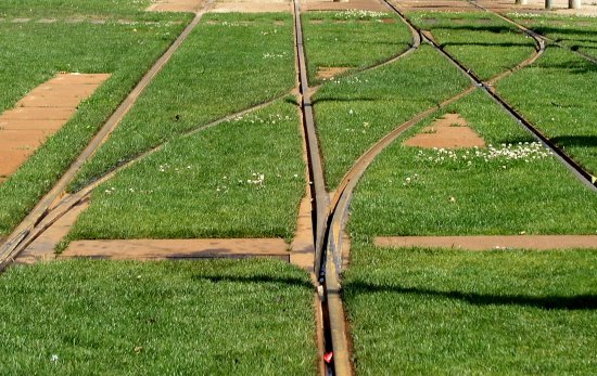 autor: paulo rodrigues
t&iacute;tulo: Trilhos