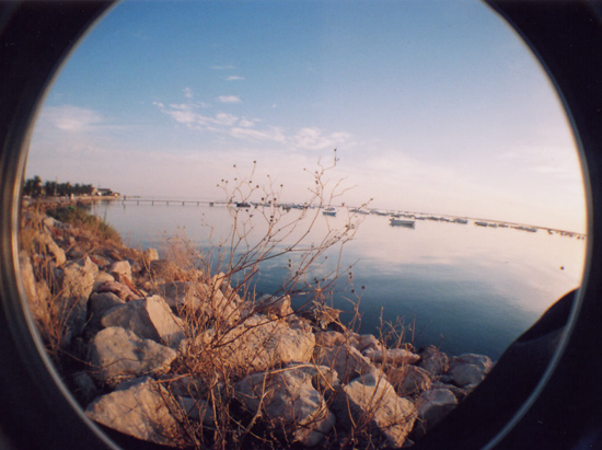 author: paulo rodrigues
title: momentos