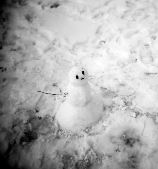 author: paulo rodrigues
title: Snow Man