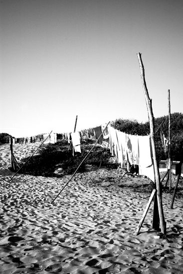 autor: paulo rodrigues
t&iacute;tulo: Tarde soalheira