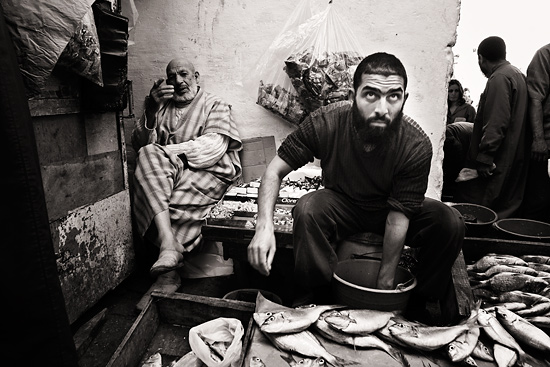 author: paulo rodrigues
title: Seller of fish