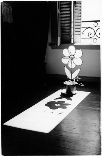 autor: paulo rodrigues
t&iacute;tulo: Flor