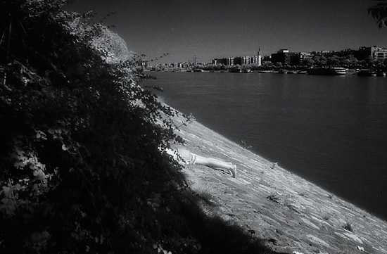 autor: Manuel Luís Cochofel