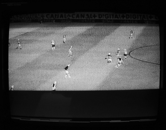 autor: Manuel Luís Cochofel