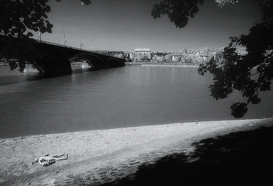 autor: Manuel Luís Cochofel