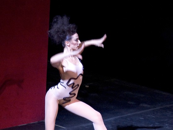 autor: paulo rodrigues
t&iacute;tulo: The Spider