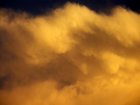 autor: paulo rodrigues
t&iacute;tulo: Plasma