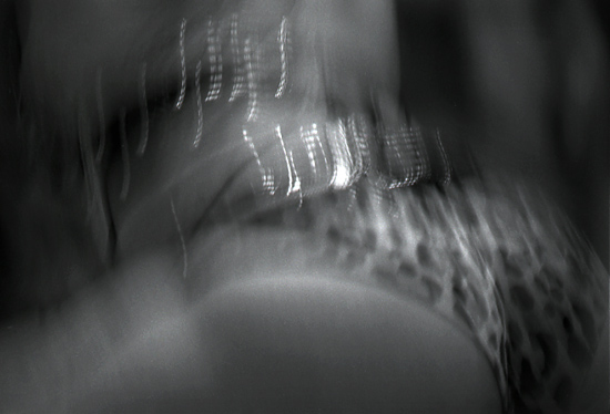 author : Manuel Luís Cochofel                    