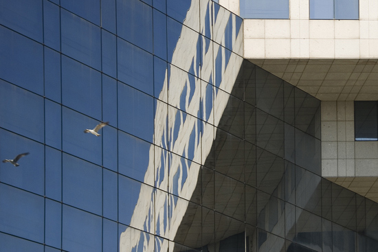 autor: paulo rodrigues
t&iacute;tulo: gaivota no espelho