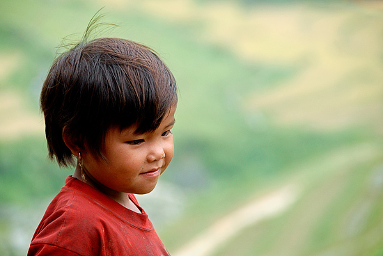 author: paulo rodrigues
title: Observando