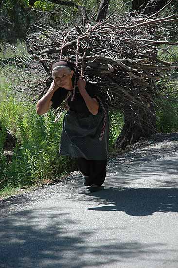 auteur : Yves Rousselet                    titre: Très lourd fardeau pour cette dame agèe