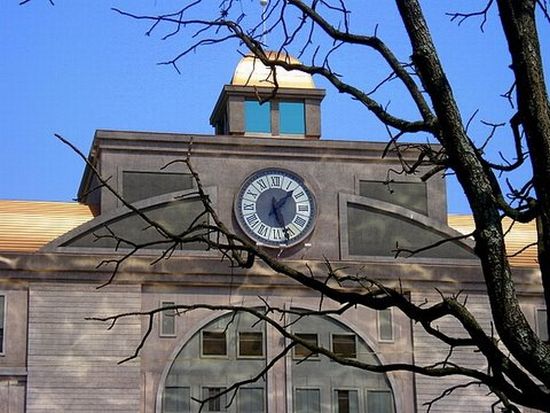 autor: paulo rodrigues
t&iacute;tulo: Tempo de Florescer