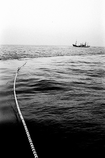 autor: Txomin  Txueka