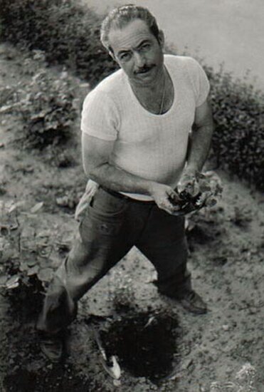 autor: paulo rodrigues
t&iacute;tulo: Salt of the earth