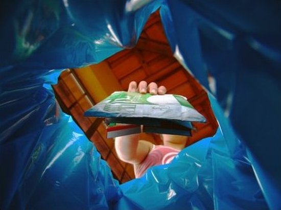 autor: paulo rodrigues
t&iacute;tulo: Aprender a Reciclar