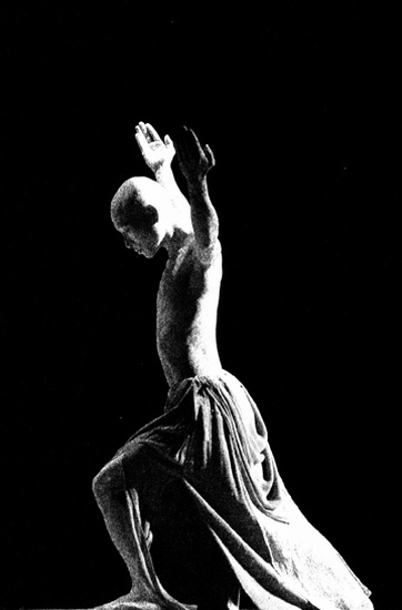 autor: paulo rodrigues
t&iacute;tulo: sakai juku