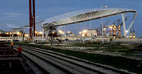 autor: paulo rodrigues
t&iacute;tulo: Aranha Volumetrica