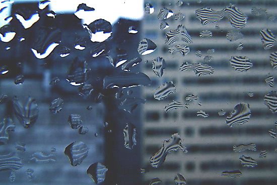 autor: paulo rodrigues