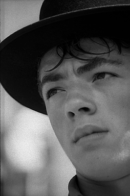 autor: Sofia Quintas