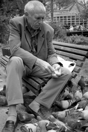 autor: paulo rodrigues
t&iacute;tulo: Solidão