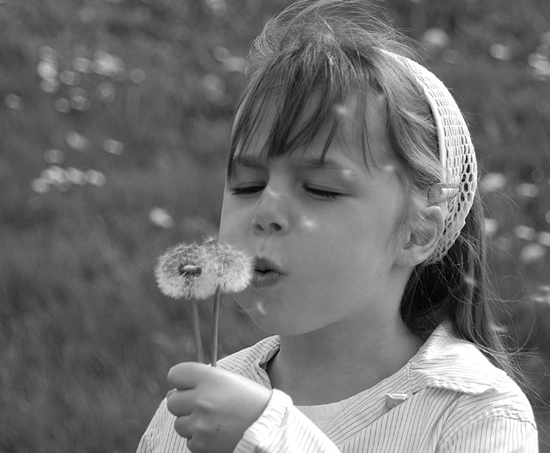 autor: paulo rodrigues
t&iacute;tulo: Wishing...