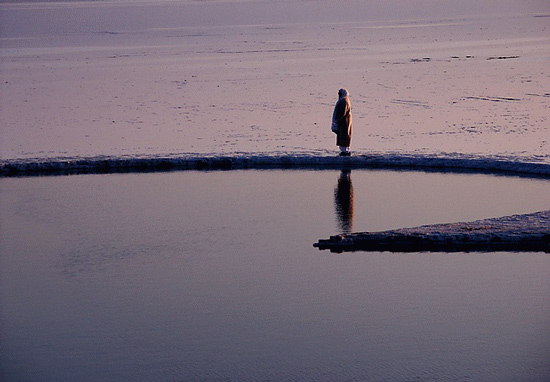 autor: paulo rodrigues
t&iacute;tulo: Só