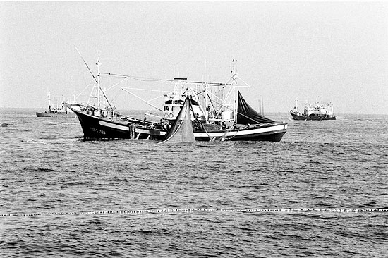 autor: Txomin  Txueka