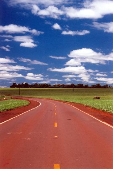 autor: paulo rodrigues
t&iacute;tulo: Curva da Vida