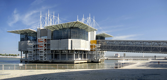 autor: paulo rodrigues
t&iacute;tulo: Oceanario