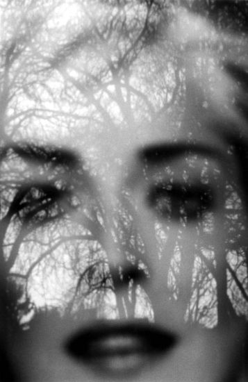 autor: paulo rodrigues
t&iacute;tulo: Végétal