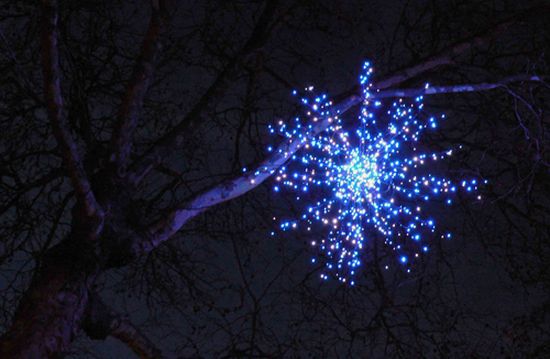 autor: paulo rodrigues
t&iacute;tulo: Festive tree