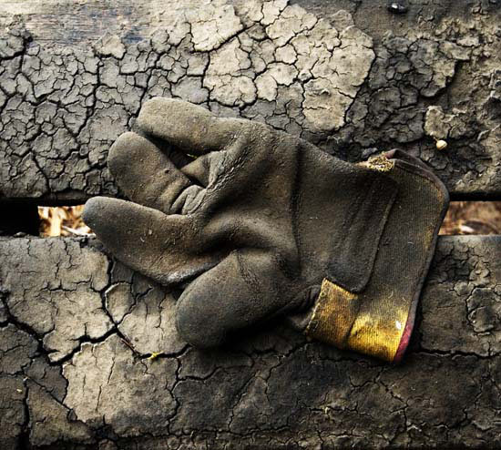 autor: paulo rodrigues
t&iacute;tulo: yellow glove