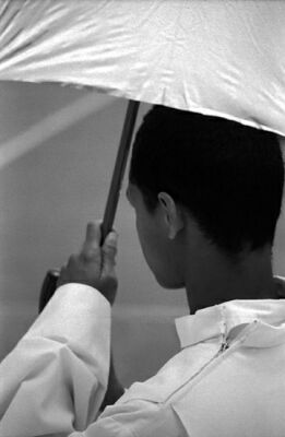 autor: paulo rodrigues