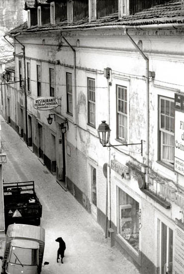 autor: paulo rodrigues
título: A portuguese street