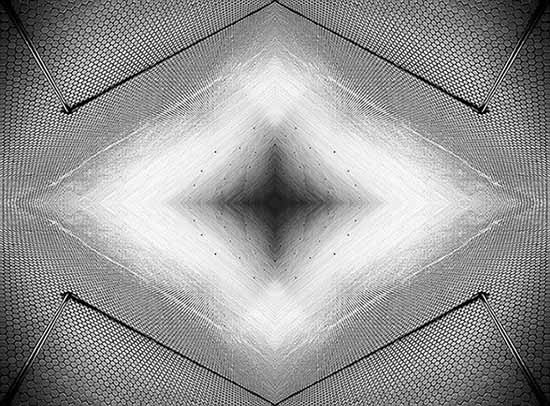 autor: paulo rodrigues
t&iacute;tulo: Rainier