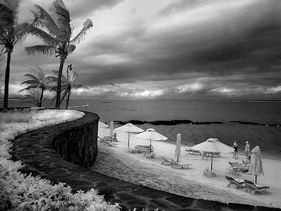 author : Olga Gouveia                    